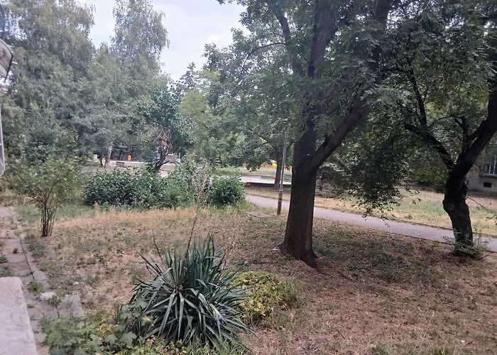 Zoraja * ソフィア